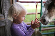 Cute Toddler Girl Petting Horse in Barn