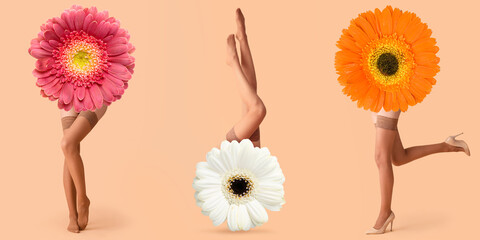 Wall Mural - Collage with gerbera flowers and legs of young woman in nude stockings on beige background