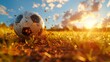 Soccer ball rests on vibrant green field, inviting play and joy