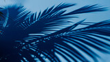 Fototapeta  - Shadow of some palm trees reflecting on a blue wall - copy space