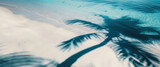 Fototapeta  - Shadow of some palm trees reflecting in the water of a beach - copy space