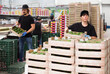 Focused hardworking woman stacks avocado crates in a factory