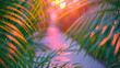 Of vibrant green and orange palm leaves bathed in soft sunlight with a beautiful bokeh background, creating a serene and peaceful atmosphere.