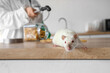 Little rat on table during disinfection in kitchen, closeup. Pest control concept