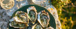 fresh oysters near champagne glasses