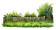 PNG A lawn outdoors backyard nature