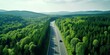 road among the forests bird's eye view Generative AI