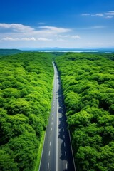 Wall Mural - road among the forests bird's eye view Generative AI