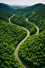 Wall Mural - road among the forests bird's eye view Generative AI