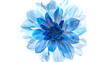 © DigitaArt.Creative - a vibrant blue flower with delicate petals and intricate details at its center. The petals radiate outward in a mesmerizing display of color