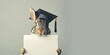 Rabbit wearing Graduation Cap and Holding a Blank Sign on a Grey  Background with Space for Copy