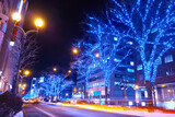Fototapeta Na sufit - 冬の北海道札幌市の札幌駅前通り、街路樹をイルミネーションで飾った冬の夜景
