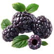 A realistic photo of fresh dewberries, similar to blackberries, dark and juicy, isolated on a Transparent background, PNG Cutout