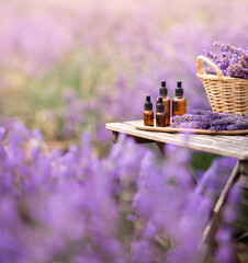 Wall Mural - Amber essential lavender oil bottle. Violet lavendar field in Provence.