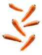 Falling carrots floating over isolated white transparent background