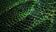 An abstract texture, background, wallpaper. Macro shot of an organic net, leaf, animal skin. 