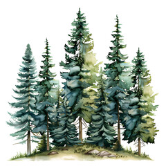 Wall Mural - pine  forest on white background