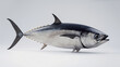 Realistic model of a tuna fish with detailed skin texture and fins, on a white background.