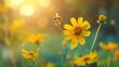 Honey bee and beautiful yellow flower spring summer season Wild nature landscape banner beauty in Nature  