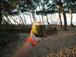 POV. Hand holding a coconut with straw on tropical beach.