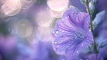 Beautiful Purple Flower With Dew Drops And Bokeh Background