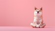 Serene Shiba Inu Meditating in Lotus Pose on Bright Pink Background with Soft Lighting