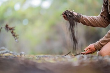 Wall Mural - holding soil in hands. agriculture agronomy in a field with a farmer. soil management