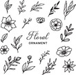 Set of  hand drawn leaves and flower decorative floral element