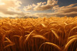 Whispers of the Wheat: A Symphony of Nature