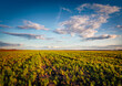 Splendid cloudscape on countryside. Green pasture at July. Picturesque sunner sunset in Ukrainian farmland, Ternopil region, Ukraine, Europe. Beauty of countryside concept background..