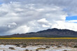 Dramatic sky over the Black Mountains in Death Valley National Park with a band of yellow wildflowers.