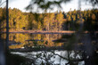 Sunrise over a forest behnd calm lake