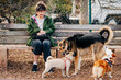Woman sitting on bench at dog park smiling at three dogs interac