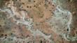 Textured desert scrubland, Utah's natural tapestry