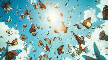 Thousand Of Butterflies Against A Sunny Blue Sky, 16:9