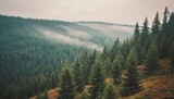 Fototapeta  - Misty landscape with fir forest in hipster vintage retro style