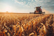 Farmer Gazing Over Golden Wheat Field