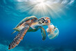 Close-up of a colorful sea turtle gracefully swimming in clear turquoise water, showcasing the beauty of marine life.