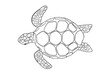 © Elena - Vector outline swimming turtle isolated on white background. Hand drawn line doodle illustration ocean or underwater animal