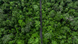 Aerial view asphalt road and green forest, Forest road going through forest view from above, Ecosystem and ecology healthy environment concept and background, Road in the middle of the forest.