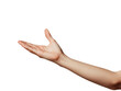 © KimlyPNG - A photograph capturing an elegant hand gesture isolated against on transparency background PNG