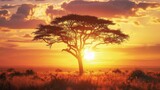 The warm glow of sunset silhouetting an acacia tree in the African savannah.