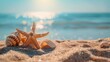 A starfish and seashells lie on the sand with sparkling ocean waters in the background.
