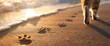 Paw prints left behind as a cat explores the shoreline., professional photography and light , Summer Background