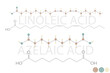 linoleic acid or azelaic acid molecular skeletal chemical formula