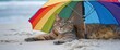Sandy whiskers and sleepy stretches under the beach umbrella, Summer Background