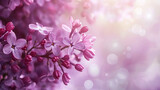 Fototapeta Uliczki - A close up of a cluster of purple flowers with a blurred background.

