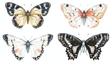 Hand Drawn Four Beautiful Butterflies. Colorful Vector