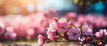 Pink Petaled Flowers Branch With Green Leaves On Nature Background With Blurred Trees, Bokeh Lights And Blue Sky. Almond Or Cherry Tree Blooming On Warm Sunny Spring Day. Blossom Months And Season.