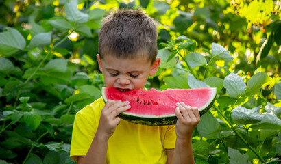 Wall Mural - a boy eats a delicious piece of watermelon in the summer.